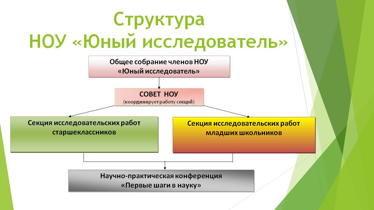 План работы научного общества учащихся